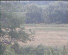 Archiv Foto Webcam Wrixum - Inselhotel Arfsten 17:00