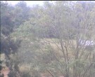Archiv Foto Webcam Wrixum - Inselhotel Arfsten 19:00