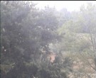Archiv Foto Webcam Wrixum - Inselhotel Arfsten 06:00