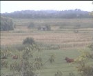 Archiv Foto Webcam Wrixum - Inselhotel Arfsten 09:00