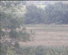 Archiv Foto Webcam Wrixum - Inselhotel Arfsten 13:00