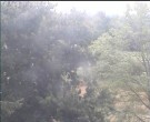Archiv Foto Webcam Wrixum - Inselhotel Arfsten 07:00
