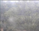 Archiv Foto Webcam Wrixum - Inselhotel Arfsten 09:00