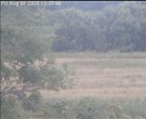 Archiv Foto Webcam Wrixum - Inselhotel Arfsten 11:00
