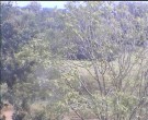 Archiv Foto Webcam Wrixum - Inselhotel Arfsten 13:00