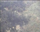 Archiv Foto Webcam Wrixum - Inselhotel Arfsten 19:00
