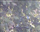 Archiv Foto Webcam Wrixum - Inselhotel Arfsten 05:00