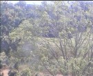 Archiv Foto Webcam Wrixum - Inselhotel Arfsten 11:00