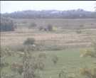 Archiv Foto Webcam Wrixum - Inselhotel Arfsten 13:00