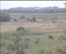 Archiv Foto Webcam Wrixum - Inselhotel Arfsten 15:00