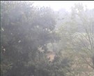 Archiv Foto Webcam Wrixum - Inselhotel Arfsten 17:00
