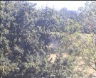 Archived image Webcam Wrixum - Panorama 13:00