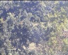 Archived image Webcam Wrixum - Panorama 15:00