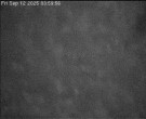 Archiv Foto Webcam Wrixum - Inselhotel Arfsten 01:00
