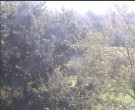 Archiv Foto Webcam Wrixum - Inselhotel Arfsten 11:00