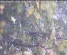 Archiv Foto Webcam Wrixum - Inselhotel Arfsten 15:00