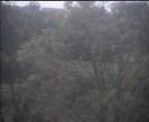 Archiv Foto Webcam Wrixum - Inselhotel Arfsten 05:00