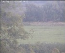 Archiv Foto Webcam Wrixum - Inselhotel Arfsten 07:00