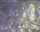 Archived image Webcam Wrixum - Panorama 08:00