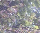 Archived image Webcam Wrixum - Panorama 10:00