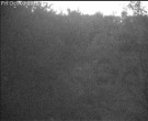 Archiv Foto Webcam Wrixum - Inselhotel Arfsten 05:00