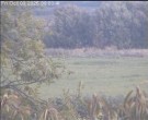 Archiv Foto Webcam Wrixum - Inselhotel Arfsten 08:00