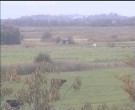 Archiv Foto Webcam Wrixum - Inselhotel Arfsten 11:00
