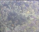 Archiv Foto Webcam Wrixum - Inselhotel Arfsten 15:00