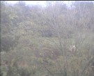 Archiv Foto Webcam Wrixum - Inselhotel Arfsten 17:00