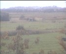Archiv Foto Webcam Wrixum - Inselhotel Arfsten 07:00