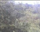 Archiv Foto Webcam Wrixum - Inselhotel Arfsten 11:00