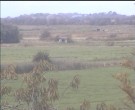 Archiv Foto Webcam Wrixum - Inselhotel Arfsten 13:00