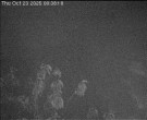 Archiv Foto Webcam Wrixum - Inselhotel Arfsten 23:00