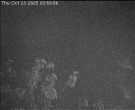 Archiv Foto Webcam Wrixum - Inselhotel Arfsten 03:00