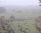 Archiv Foto Webcam Wrixum - Inselhotel Arfsten 09:00