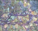Archiv Foto Webcam Wrixum - Inselhotel Arfsten 11:00