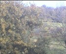 Archiv Foto Webcam Wrixum - Inselhotel Arfsten 15:00
