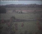 Archiv Foto Webcam Wrixum - Inselhotel Arfsten 17:00