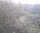 Archiv Foto Webcam Wrixum - Inselhotel Arfsten 07:00
