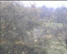 Archiv Foto Webcam Wrixum - Inselhotel Arfsten 09:00