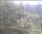 Archiv Foto Webcam Wrixum - Inselhotel Arfsten 11:00