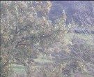 Archiv Foto Webcam Wrixum - Inselhotel Arfsten 13:00