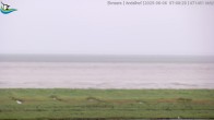 Archiv Foto Webcam Midlum - Andelhof 06:00
