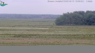 Archiv Foto Webcam Midlum - Andelhof 09:00
