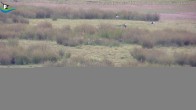 Archiv Foto Webcam Midlum - Andelhof 11:00