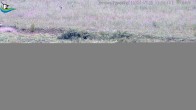 Archiv Foto Webcam Midlum - Andelhof 11:00
