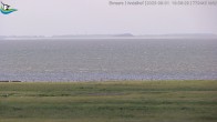 Archiv Foto Webcam Midlum - Andelhof 17:00