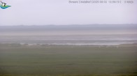 Archiv Foto Webcam Midlum - Andelhof 11:00