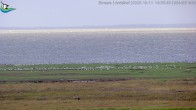 Archiv Foto Webcam Midlum - Andelhof 15:00