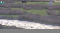 Archiv Foto Webcam Midlum - Andelhof 07:00